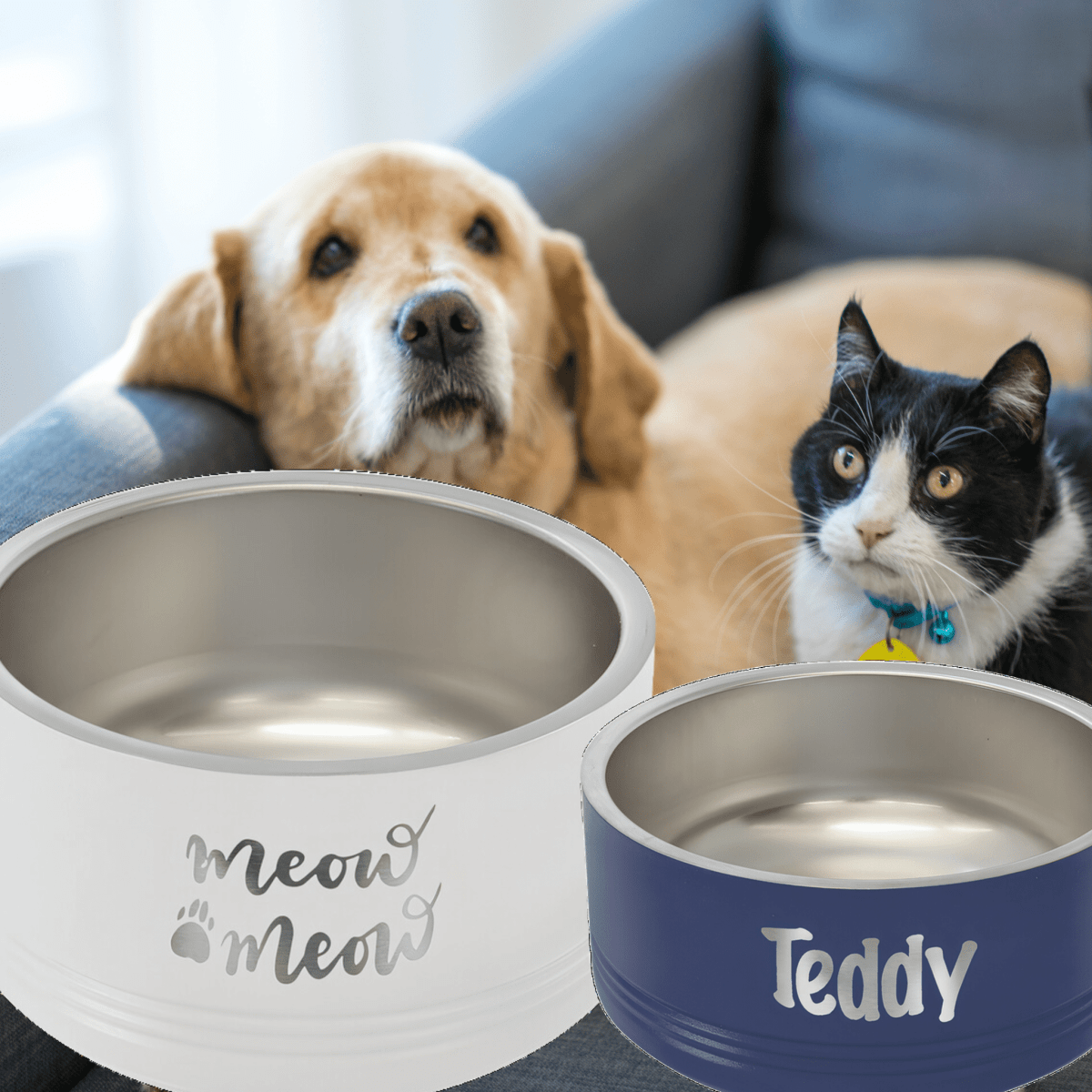 Custom Pet Gifts, Memorials and Essentials - LightForce Laser Engraving, LLC