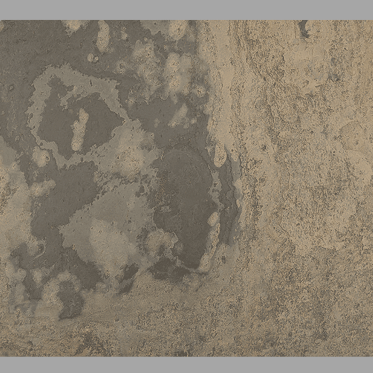 Autumn Stonelite Veneer