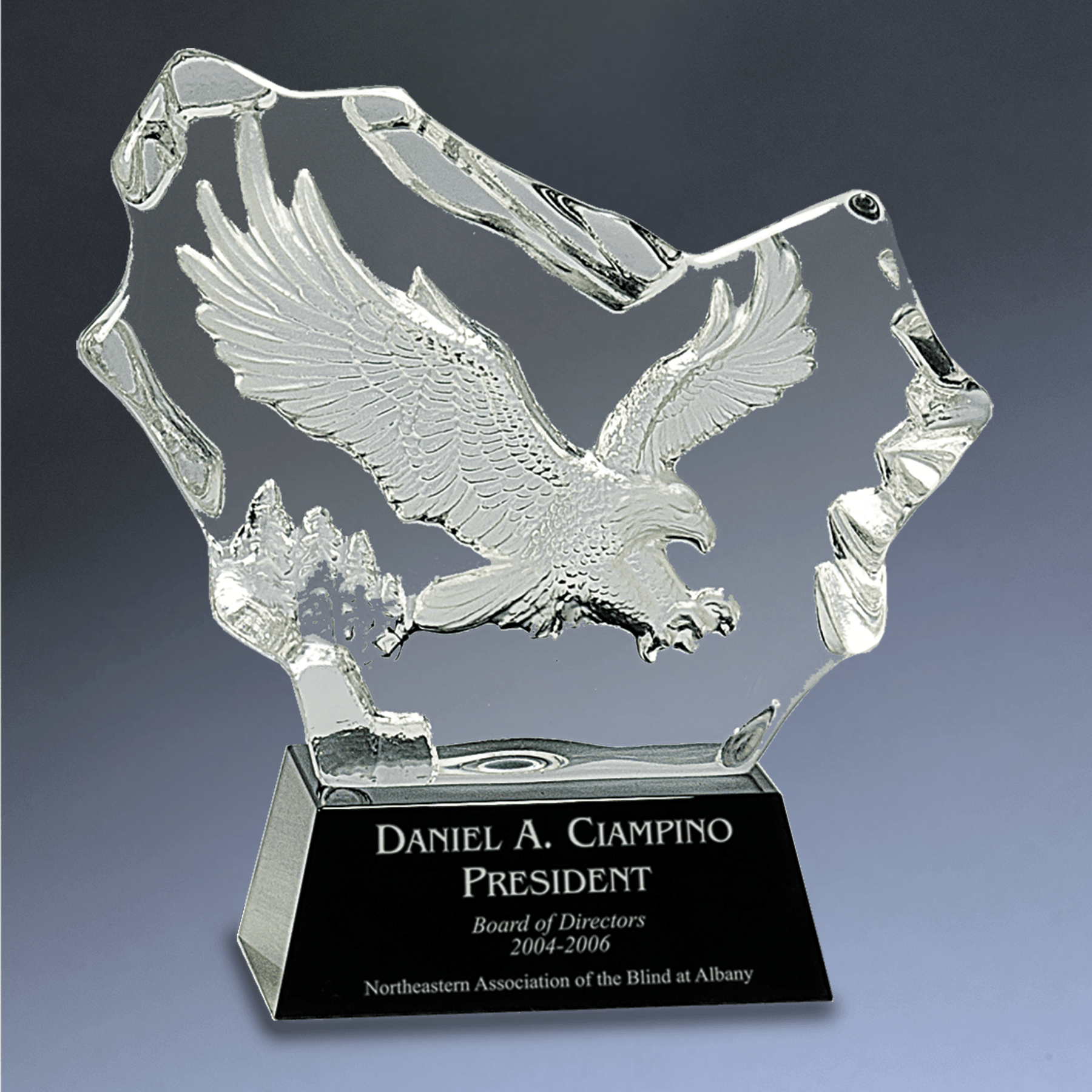 Engraved Crystal Eagle Awards – Personalized Recognition for Leadership & Patriotism