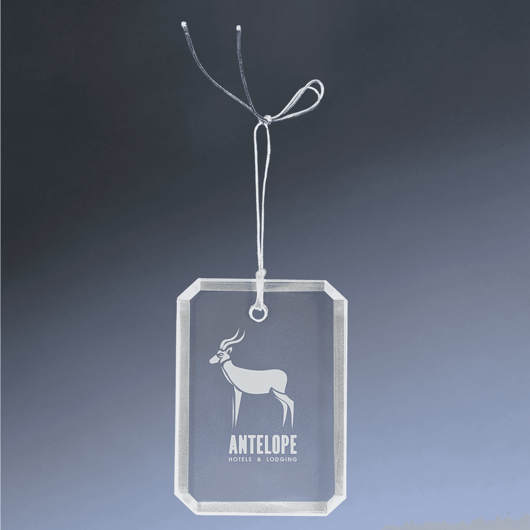 Laser Etched Crystal Ornaments with Ribbon and Gift Box Teardrop / Silver / 3"