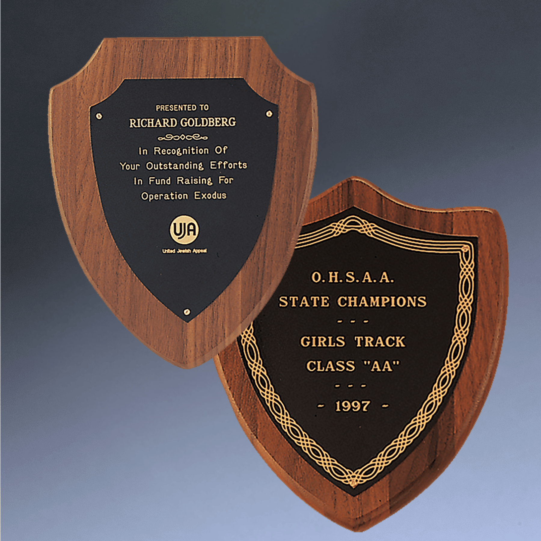 American Walnut Shield Plaque | Black & Gold Brass Shield Plate With Gold Jewelers Border / Classic / 7 1/4" x 9"