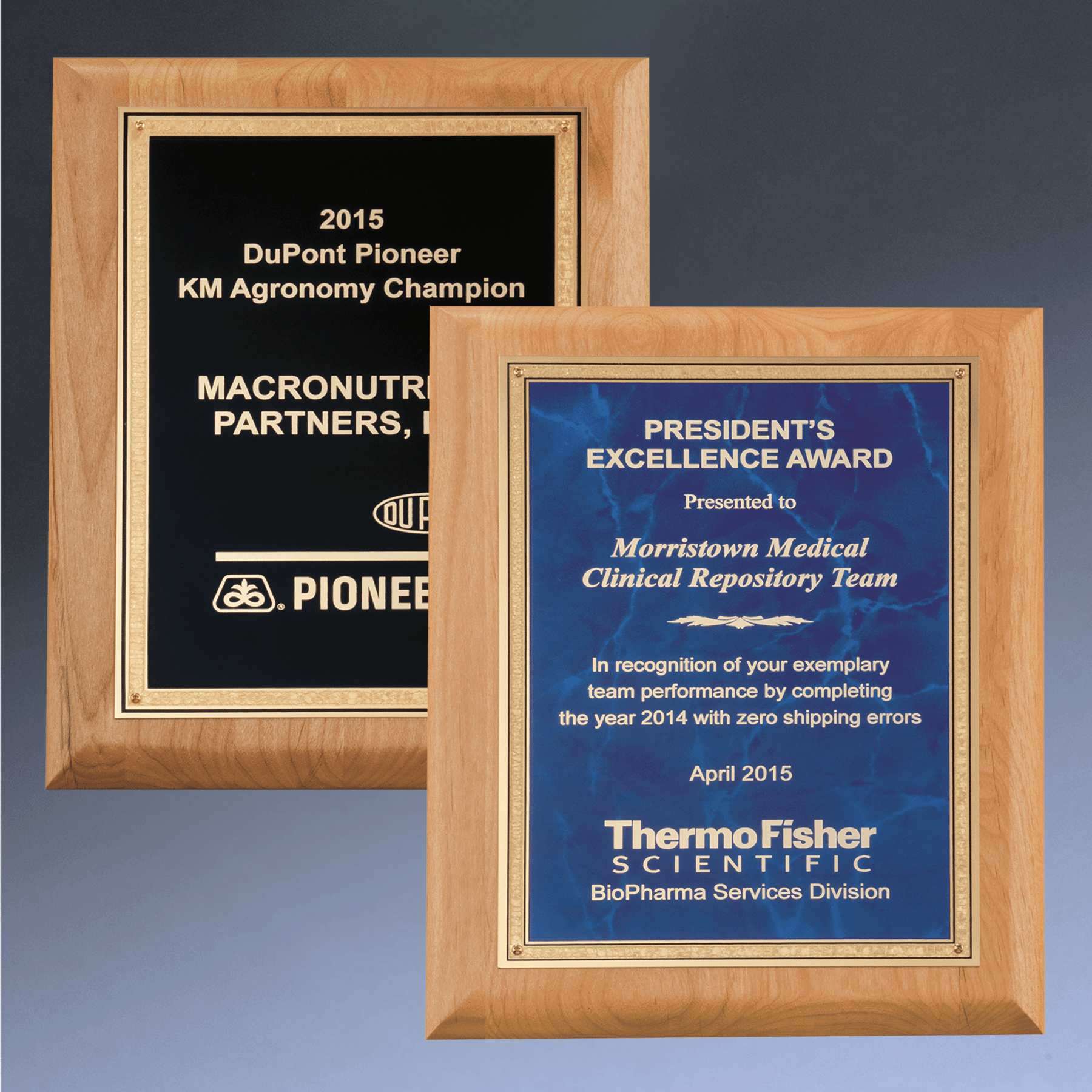 Red Alder Wood Plaque with Marbleized Gold Florentine Plate 7 x 9 / Sapphire (Blue) / Gold Florentine Border