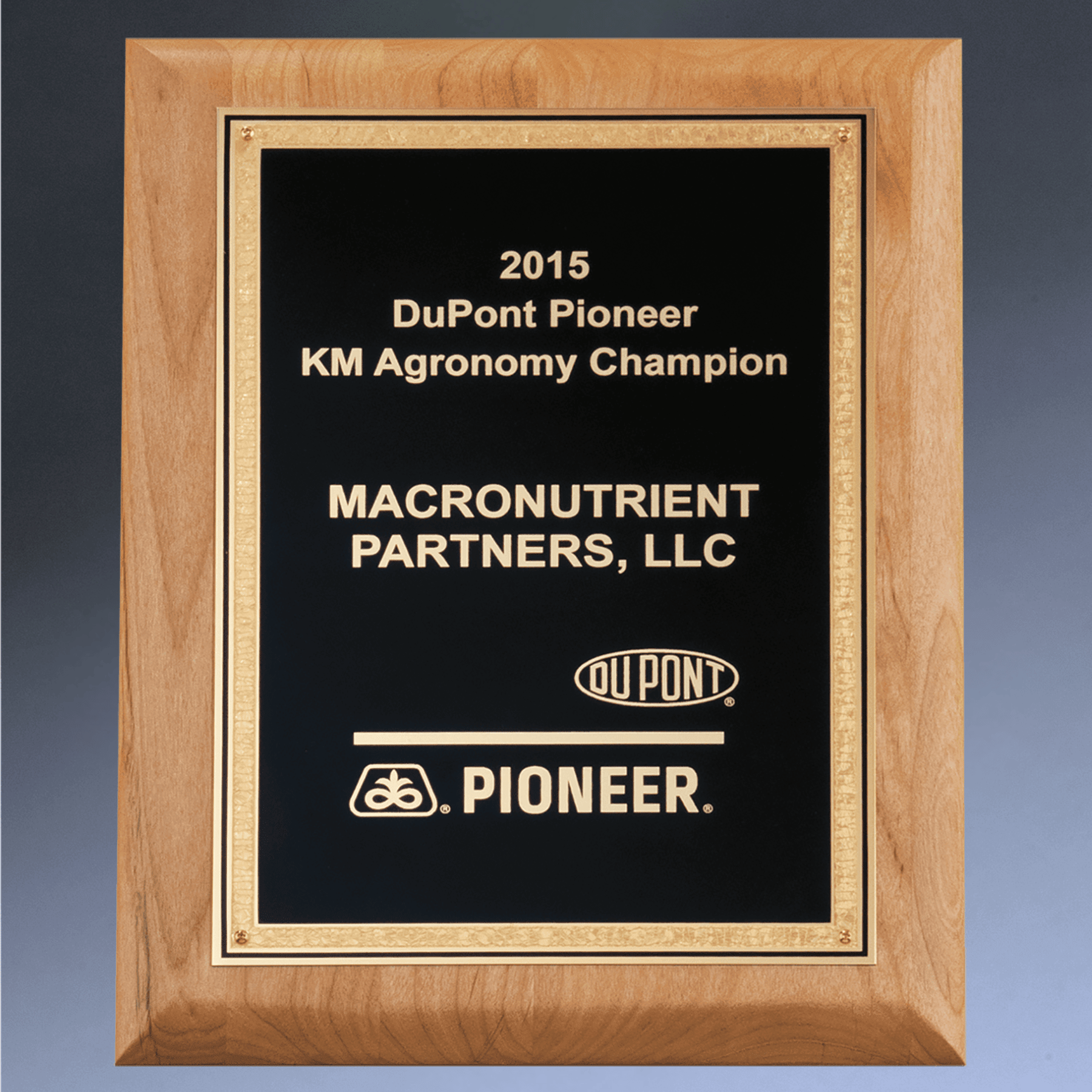 Red Alder Wood Plaque with Marbleized Gold Florentine Plate 7 x 9 / Black / Gold Florentine Border