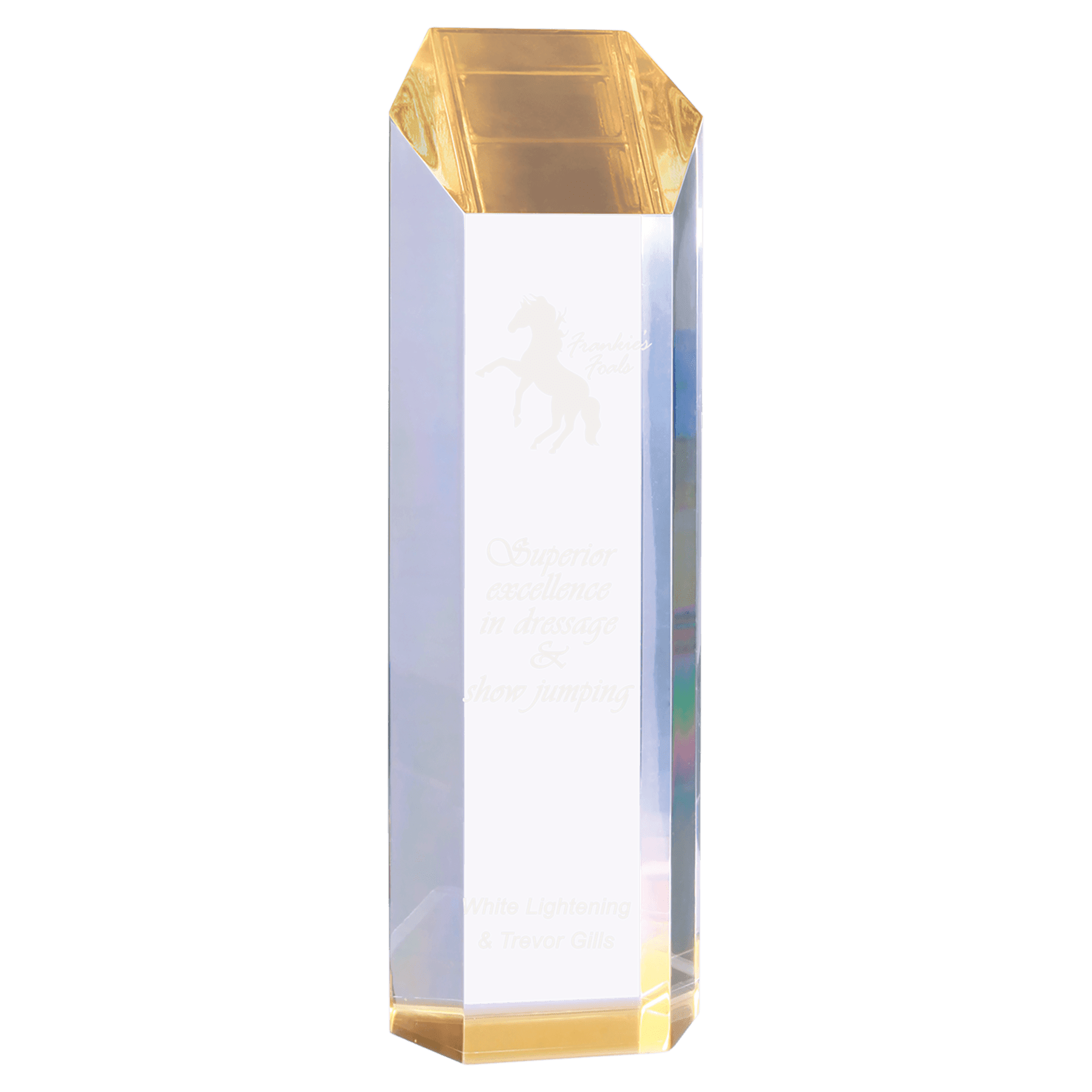 Tower Acrylic Awards - Custom Engraved Corporate Awards Gold / 3" x 10"