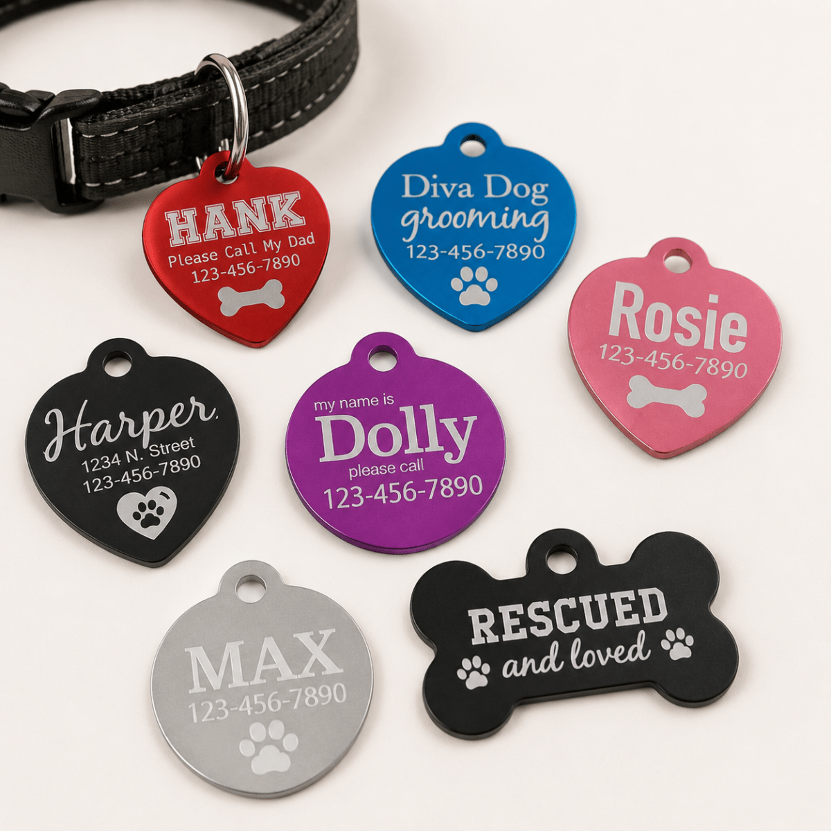 Custom Pet ID Tags for Vets, Groomers, Rescues & Events - Bone