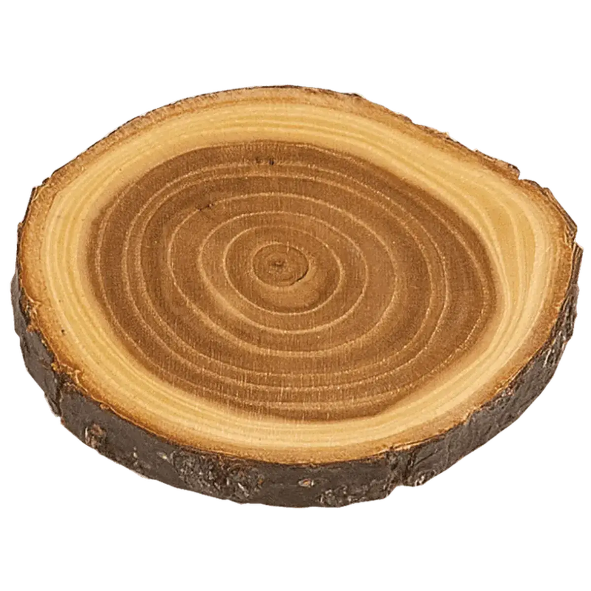 Personalized Log Coasters, Magnets and Plaques - Rustic Decor Coaster / 4"