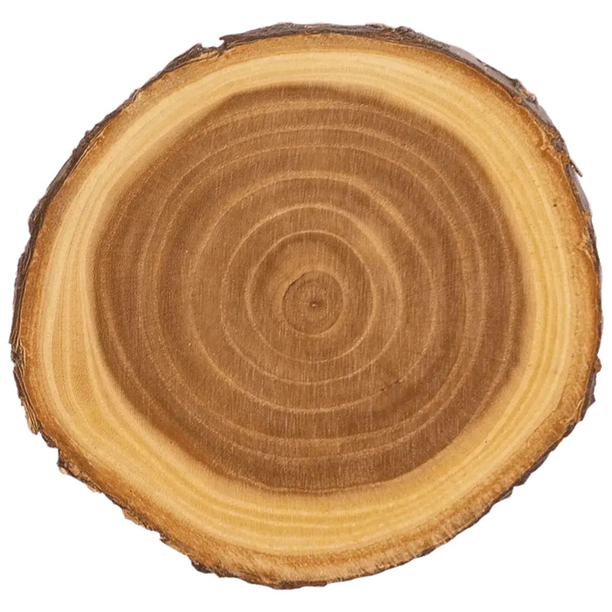 Personalized Log Coasters, Magnets and Plaques - Rustic Decor Plaque / 9"