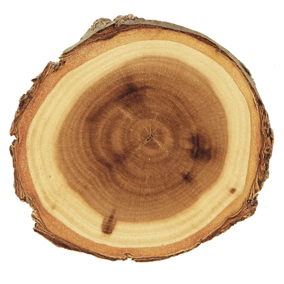 Personalized Log Coasters, Magnets and Plaques - Rustic Decor Coaster / 4"