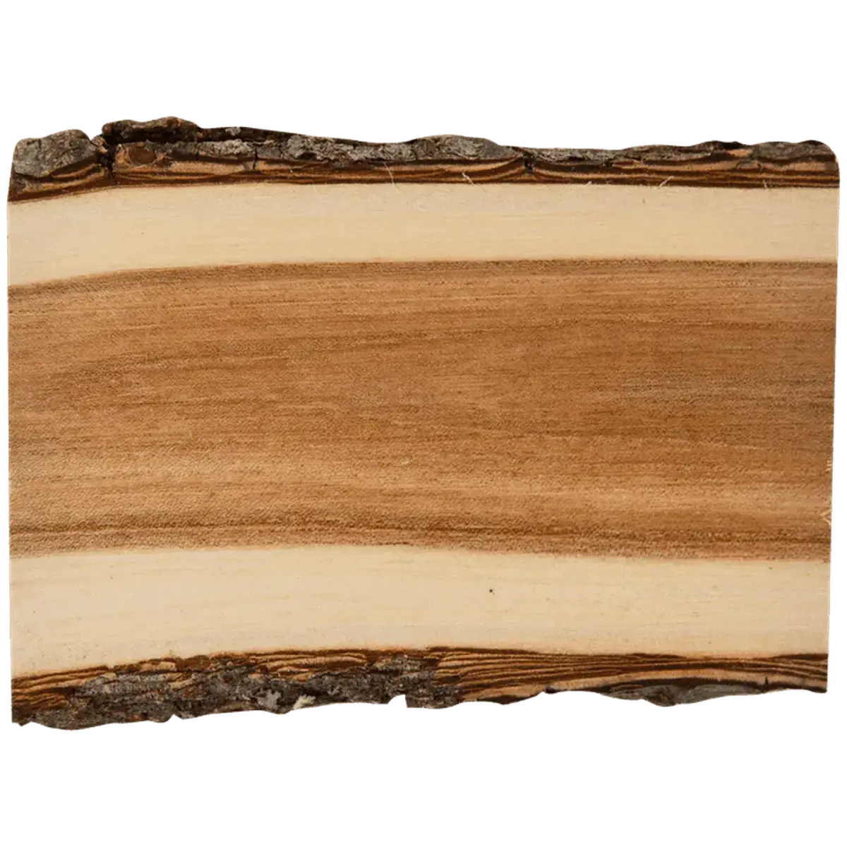 Personalized Log Coasters, Magnets and Plaques - Rustic Decor Coaster / 4"