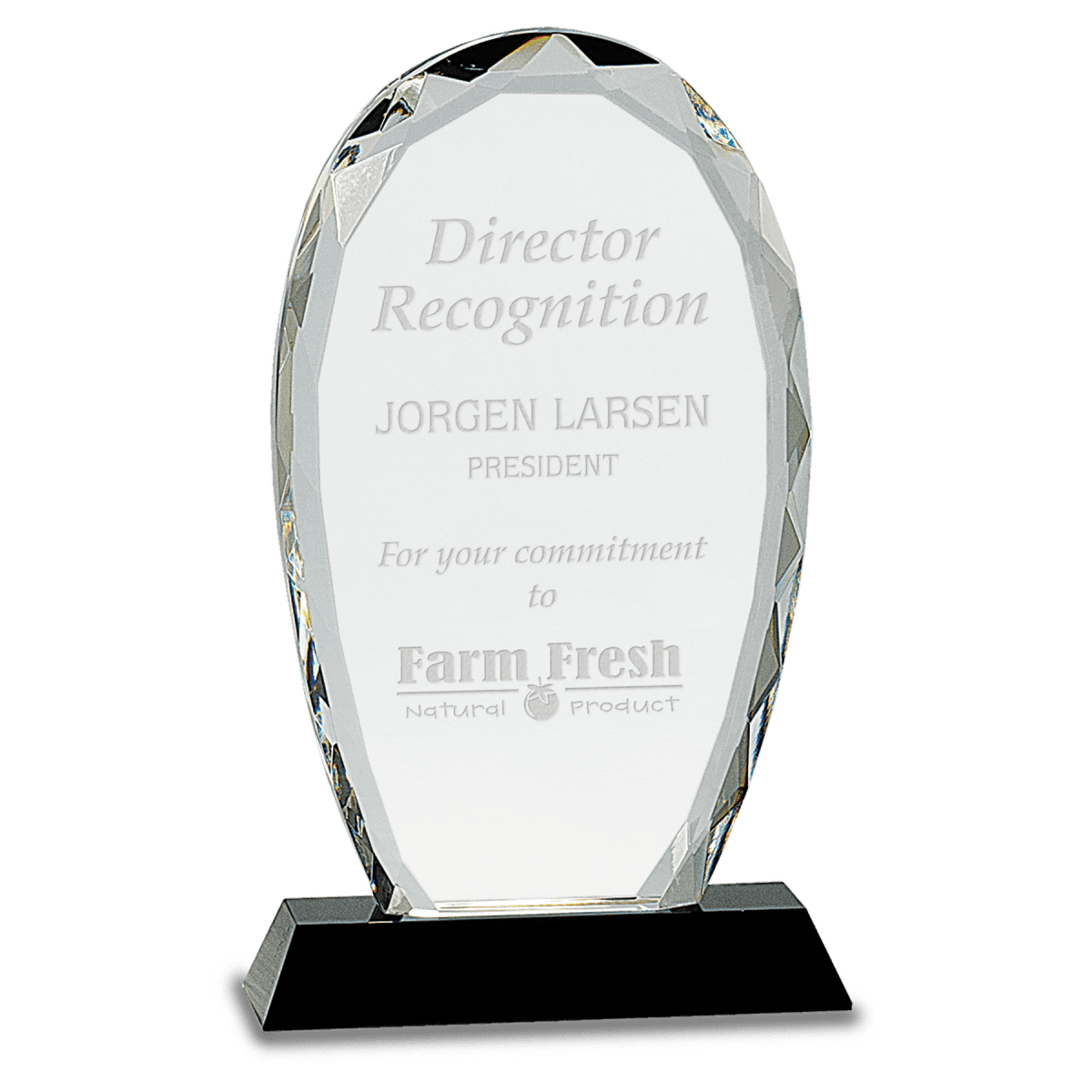 Oval Facet Crystal Award on Black Crystal Base - 7 1/2"