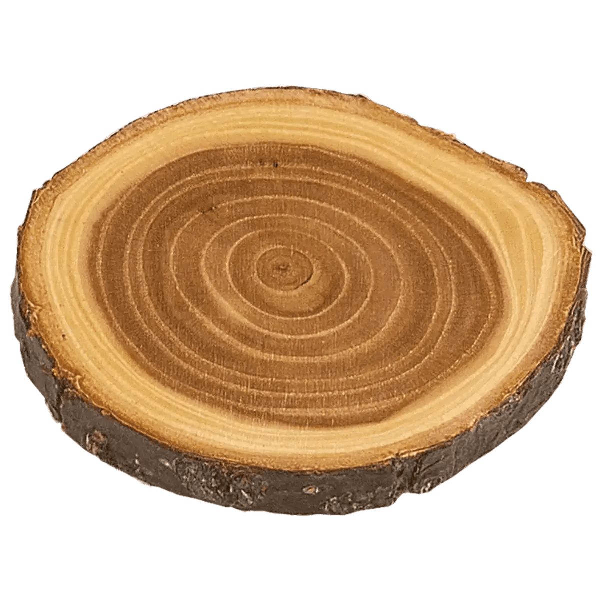Personalized Log Refrigerator Magnets - Rectangle