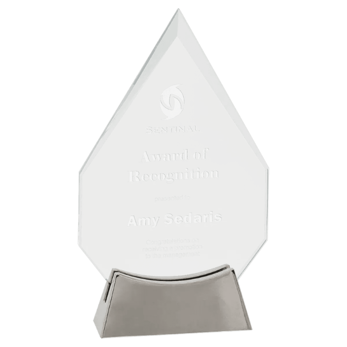 Platinum Glass Awards on Silver Aluminum Base – Custom Engraved - Oval