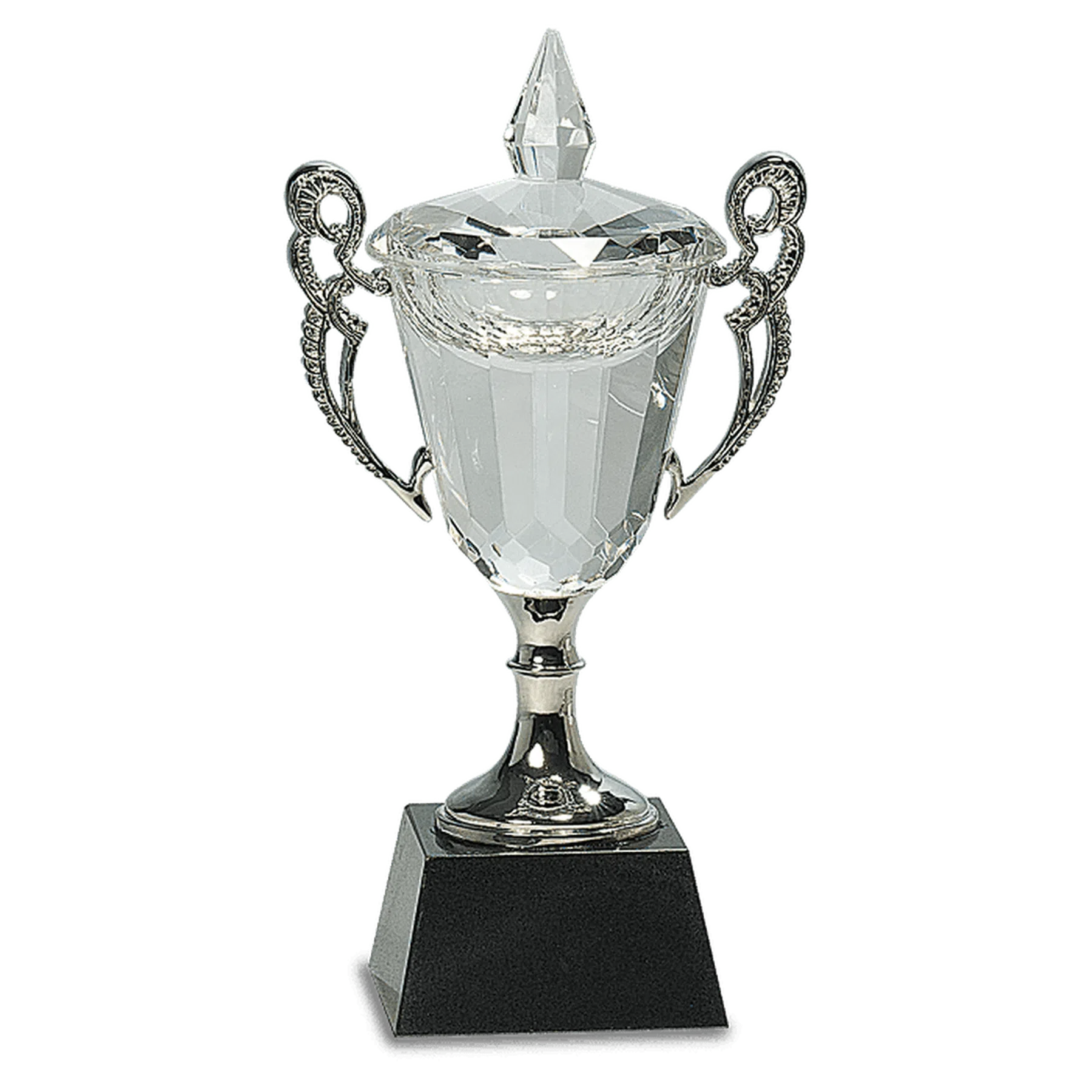 Crystal Trophy Cup with Silver Handles and Stem