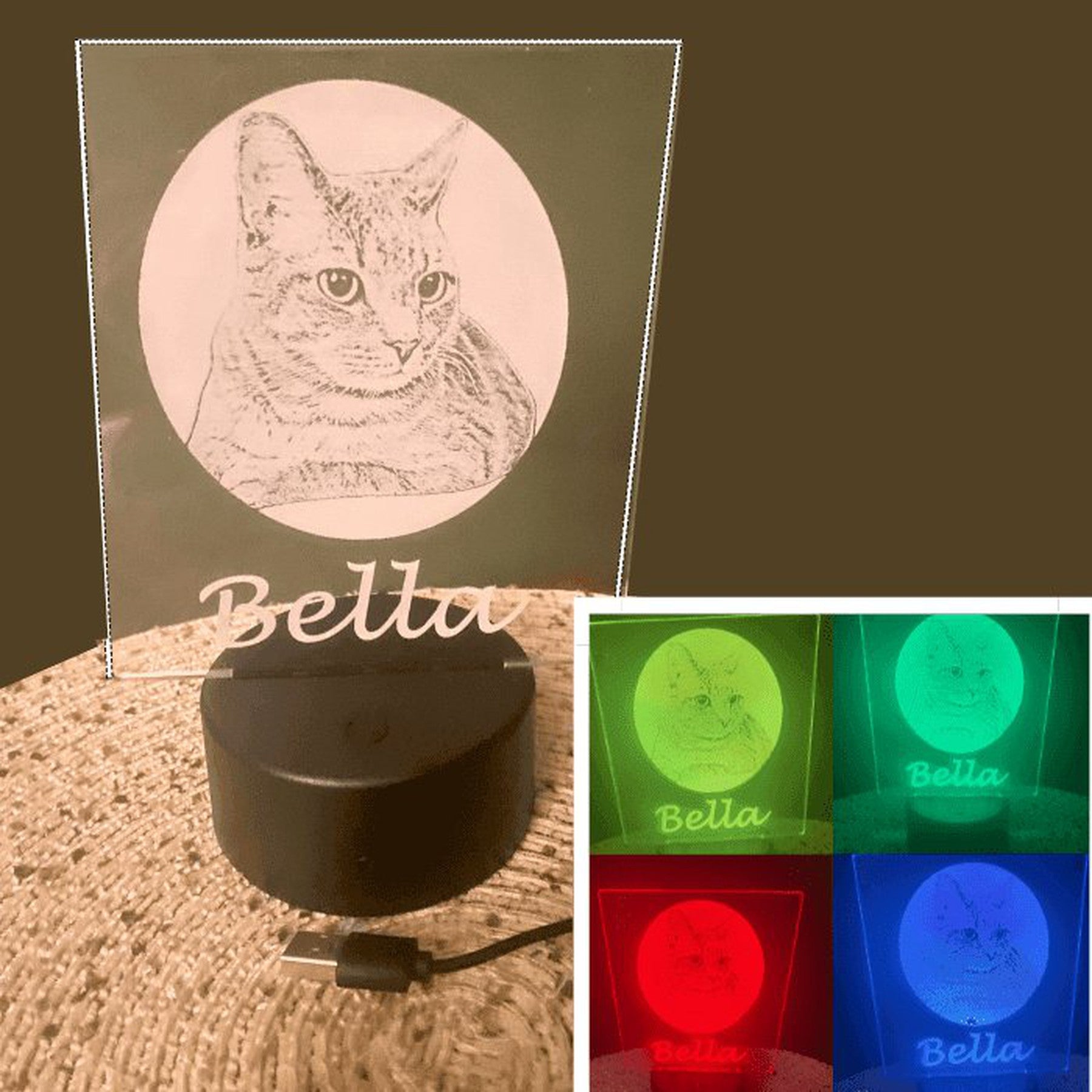 Engraved Acrylic Pet Display with LED Base