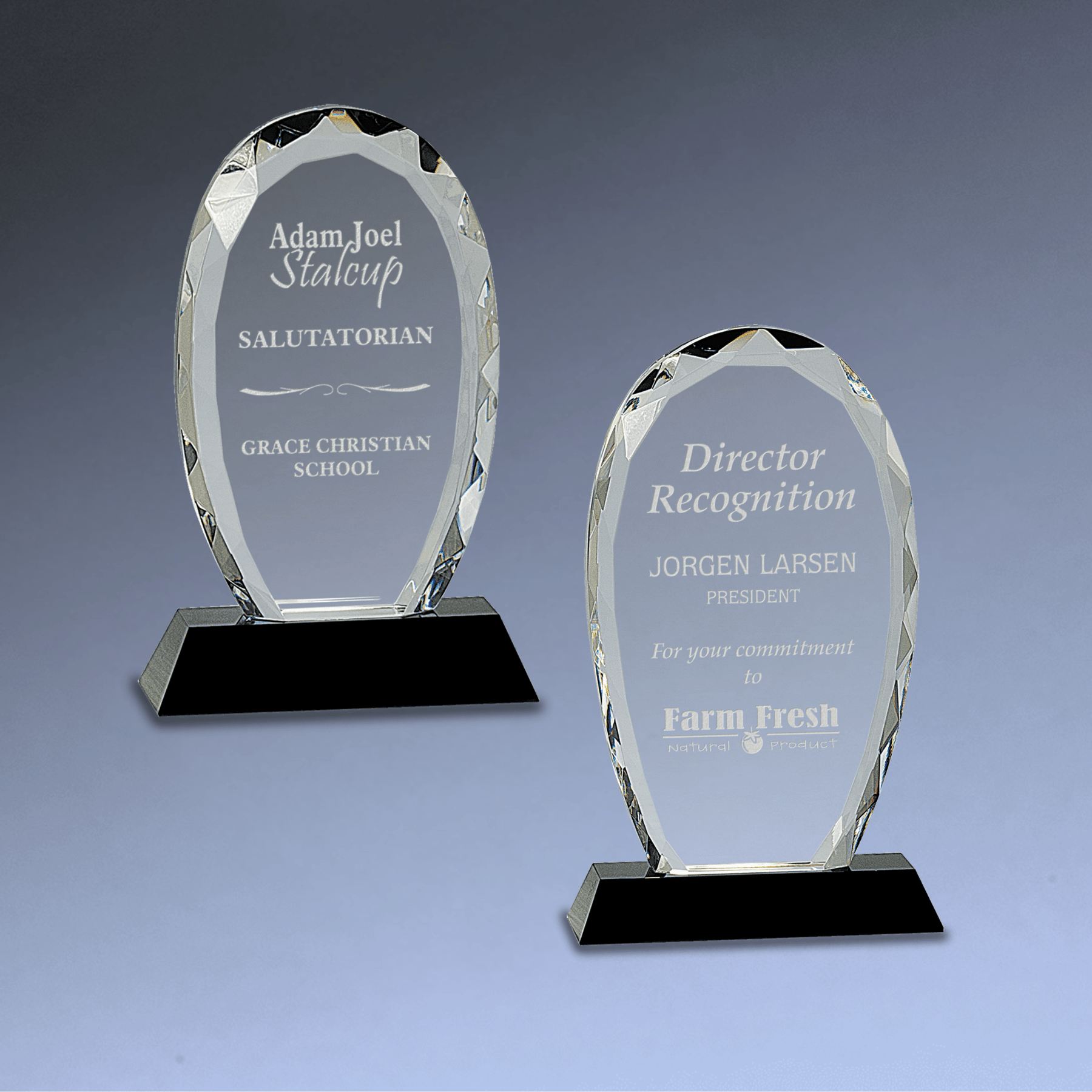 Oval Facet Crystal Award on Black Crystal Base 7 1/2"