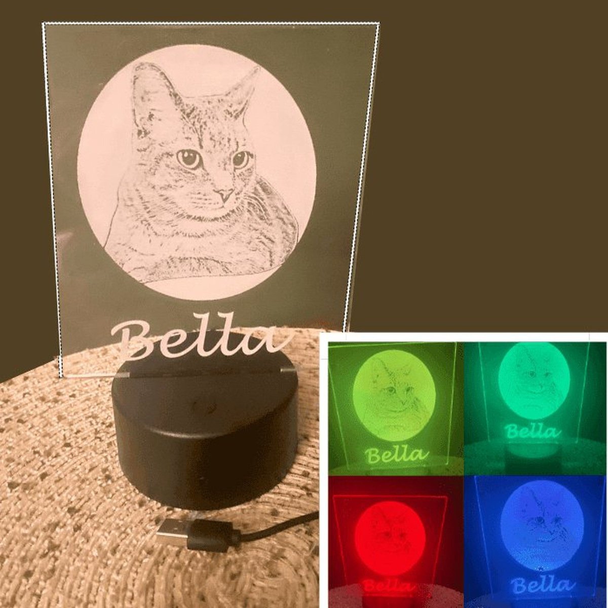 Engraved Acrylic Pet Display with LED Base - LightForce Laser Engraving, LLC