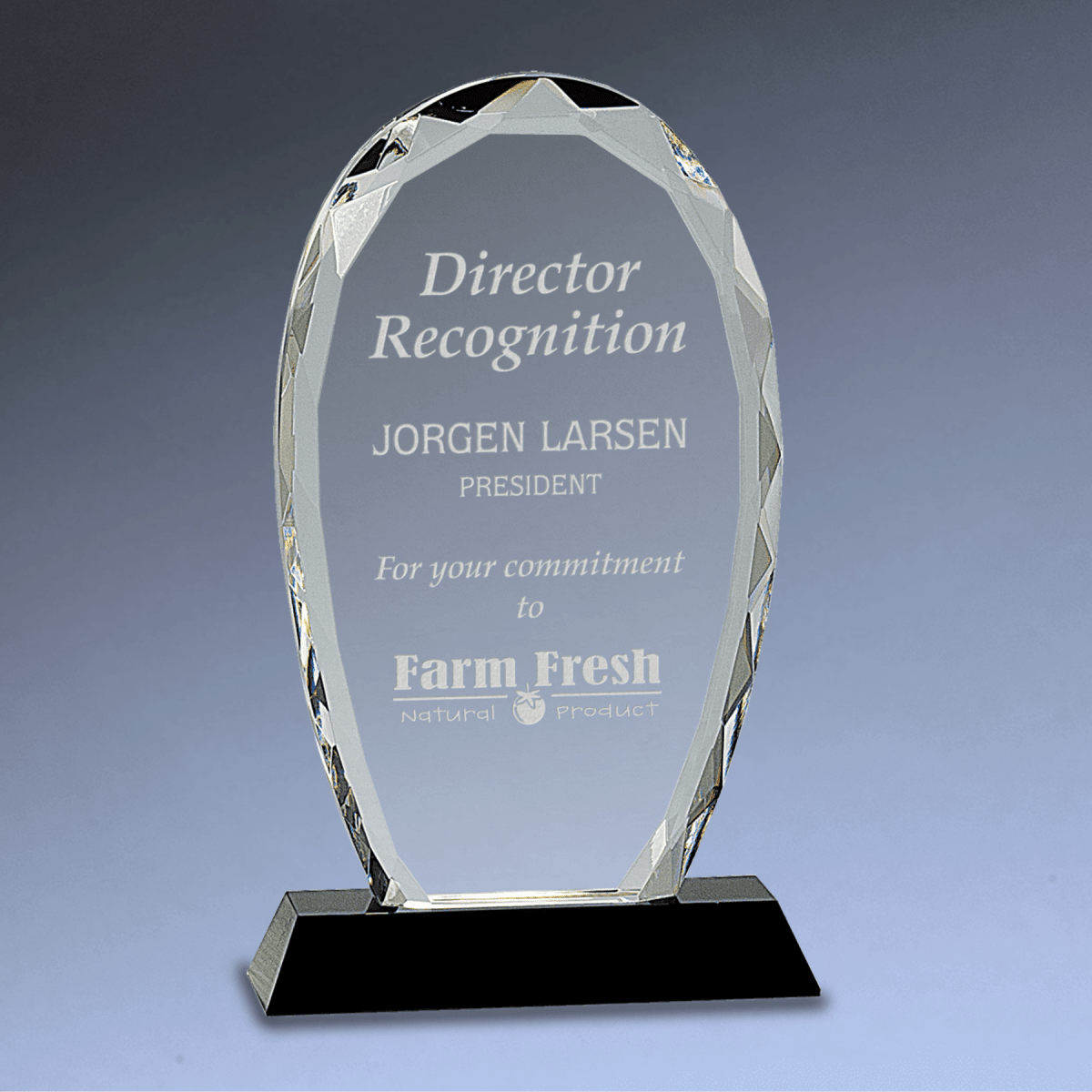 Oval Facet Crystal Award on Black Crystal Base - 9"