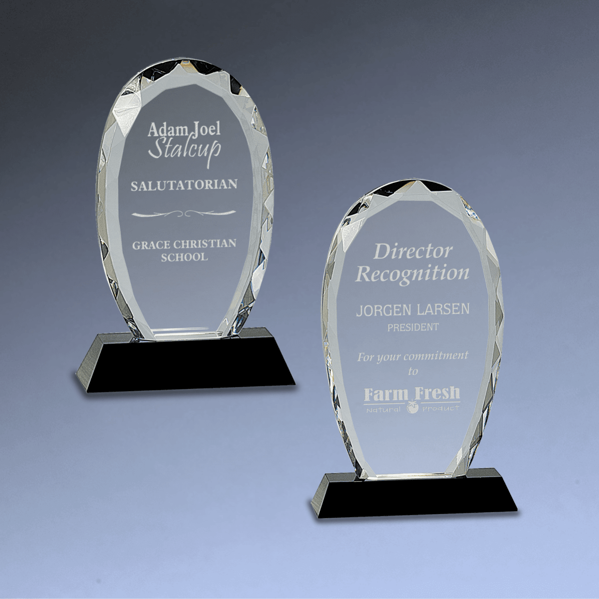 Oval Facet Crystal Award on Black Crystal Base - 9"