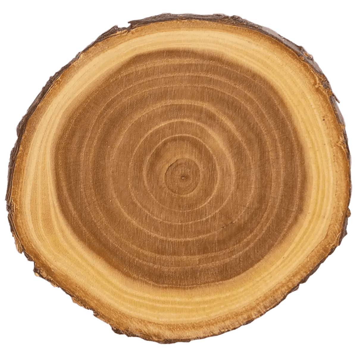 Personalized Log Refrigerator Magnets - Rectangle