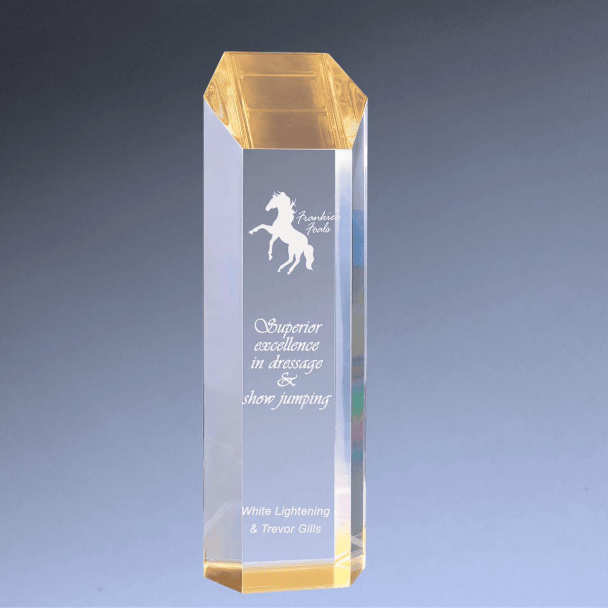 Premier Slant - Top Tower Acrylic Awards - Self - Standing Tribute - Gold