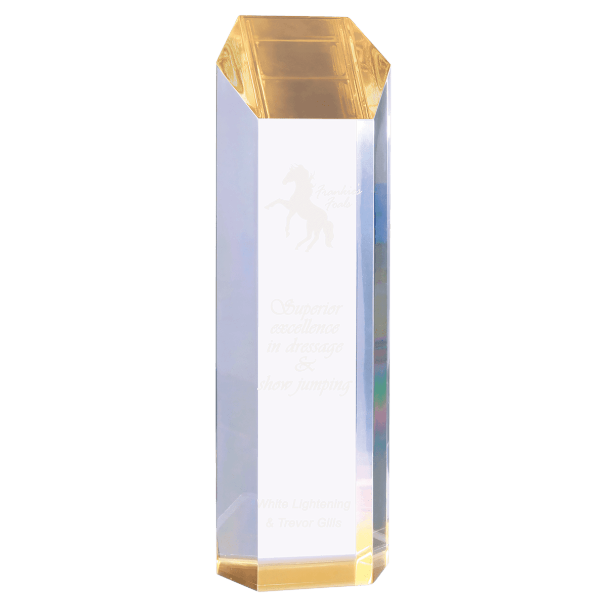 Premier Slant - Top Tower Acrylic Awards - Self - Standing Tribute - Clear