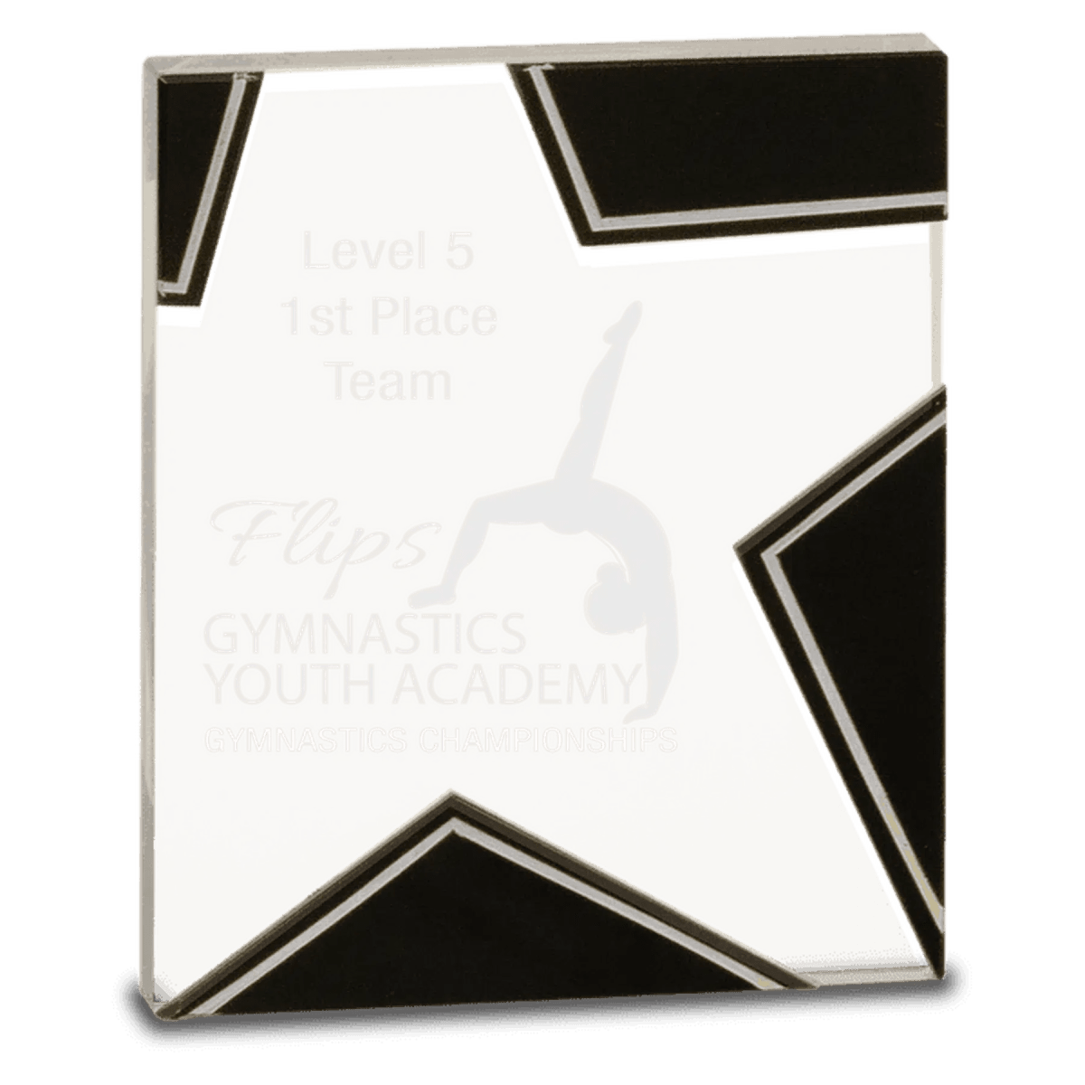 Silver and Black Star Glass Performance Award - 6 1/4"